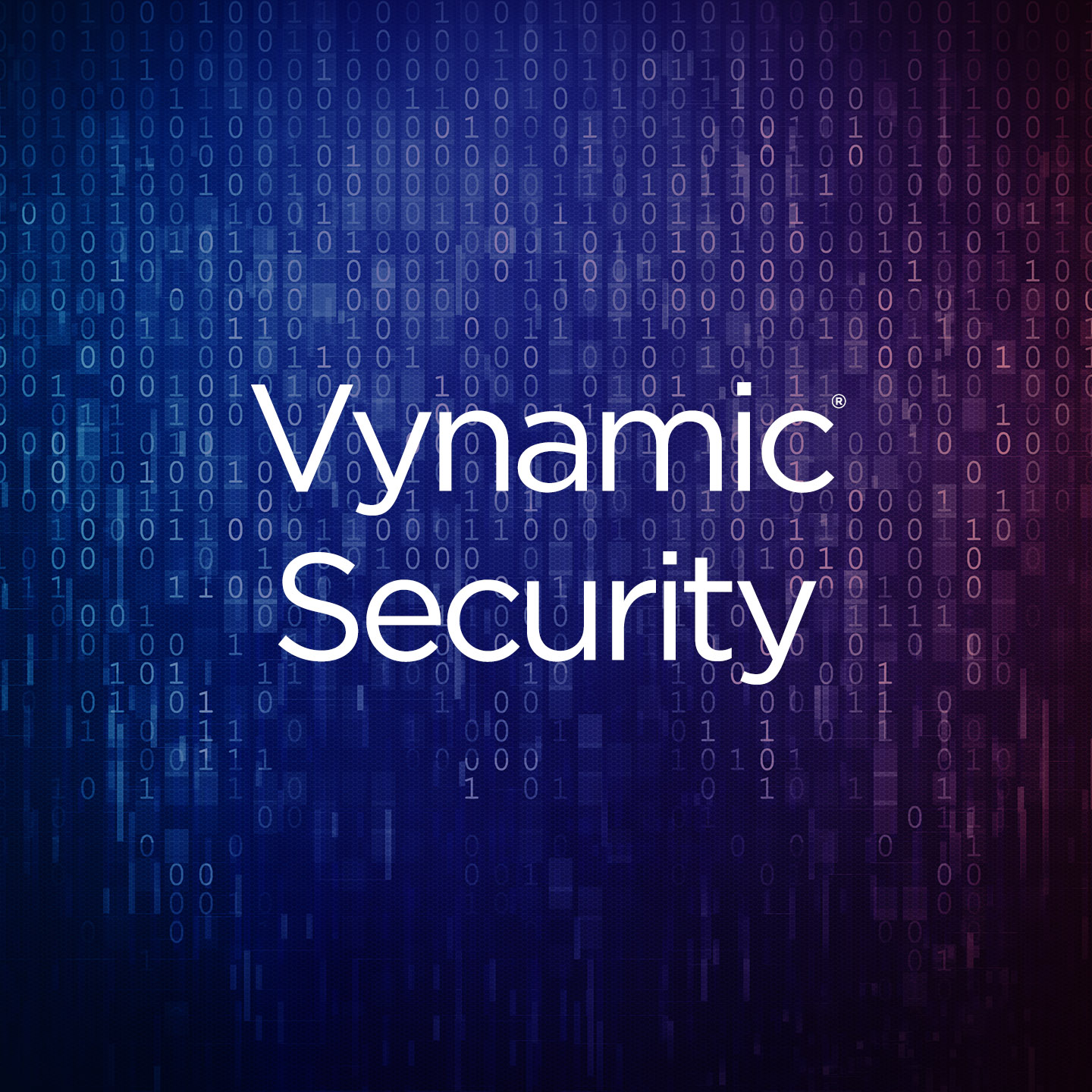 Vynamic Security